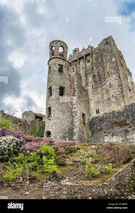 The blarney stone hi-res stock photography and images - Alamy