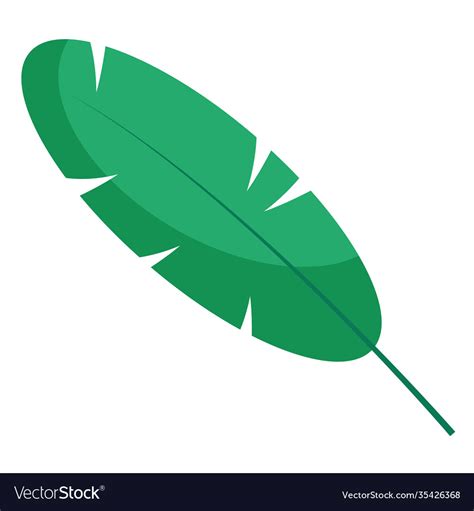 Oblong leaf plant flat style icon Royalty Free Vector Image