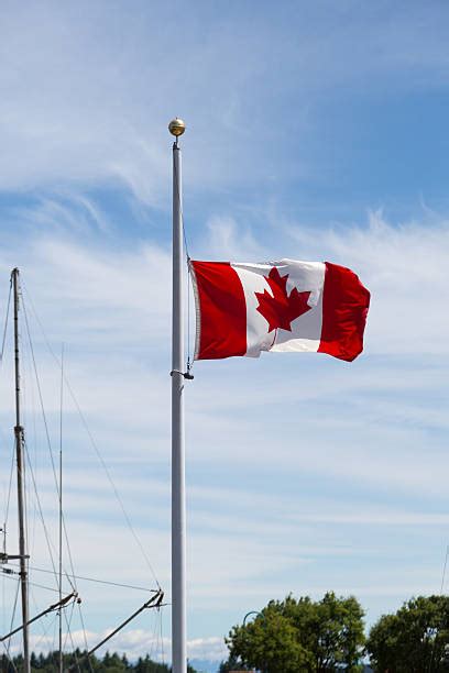 Canada Flag Half Mast Stock Photos, Pictures & Royalty-Free Images - iStock