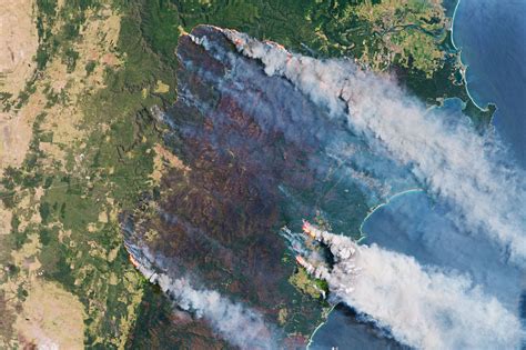 How wildfires fueled by climate change affect oceans and algae - Vox