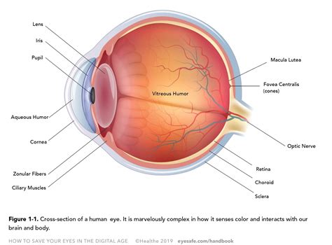 Do You Need Google for Infrared Sauna? Eye Safety in Infrared Saunas ...