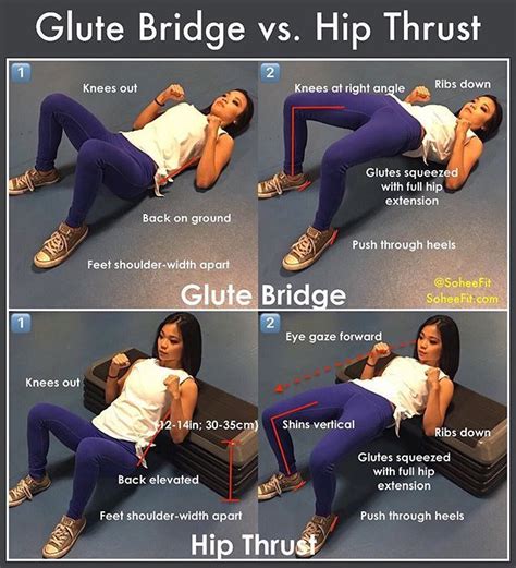 📍Glute Bridge vs. Hip Thrust📍 Have you ever wondered what differentiates the glute bridge from ...