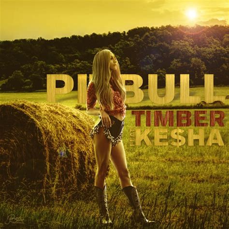 Pitbull Feat. Ke$ha: Timber (Music Video 2013) - IMDb