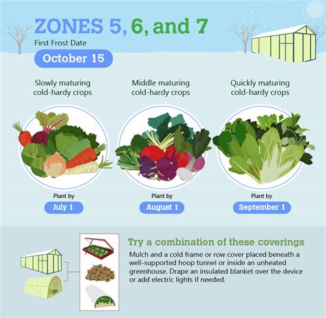 3 Quick Winter Gardening Tips for Zones 4 to 9 - Hort Zone