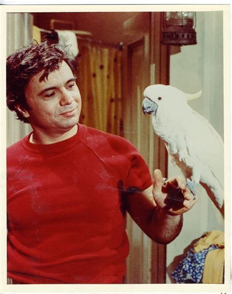 baretta tv show bird - Jed Stinson