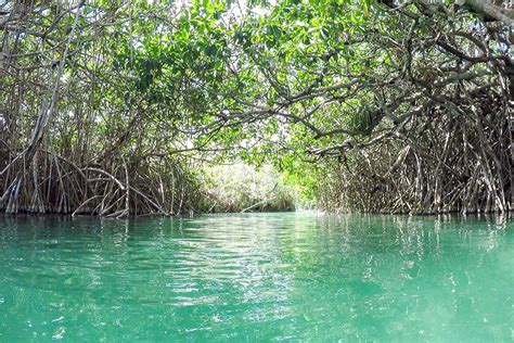 The Sian Ka'an Biosphere Reserve - Visiting from Tulum, Mexico