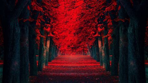 Red Wallpapers - Wallpaper Cave