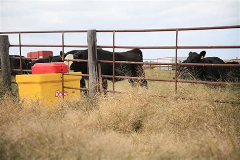 For 100 Years Ritchie Industries Has Brought Fresh Water to the Ranch ...