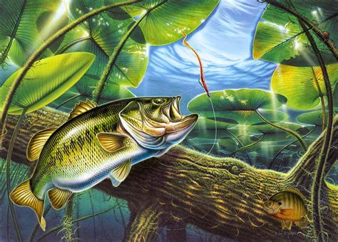 🔥 Free download Largemouth Bass Wallpaper For Desktop Largemouth bass ...