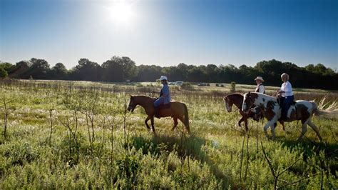 5 Outdoor Activities To Experience Near Nashville, Tennessee | Get Up ...