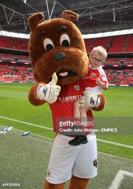 Barnsley Mascot Toby Tyke Photos and Premium High Res Pictures - Getty Images