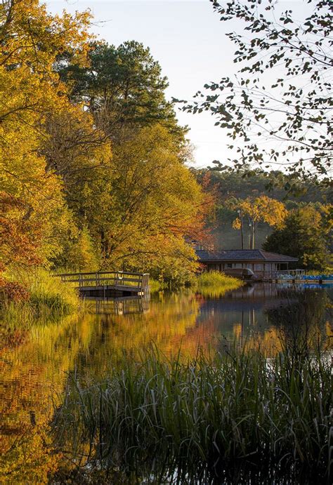 Shimmering fall foliage at Tyler State Park November 2015 #Fall4Tx #TexasToDo … | State parks ...