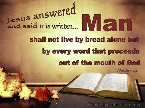 15 Bible verses about Manna