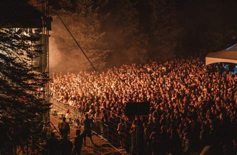 5 Best Music Festivals In Hungary: Unmissable, Note-Worthy Celebrations ...