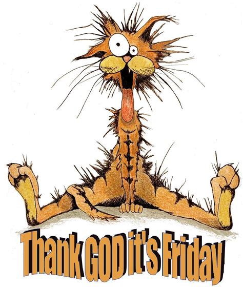 Funny Tgif Cartoons