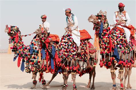 Camel Beauty Contest & Exotica | Pushkar Camel Fair | India | BeautifulNow