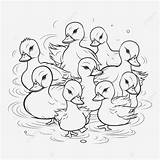 Bebé Patos Para Colorear Página Esquema Esbozo Dibujo Vector PNG  sketch template