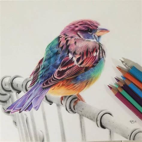 Pin by Lucie Monty on Dessin | Bird drawings, Colored pencil artwork, Bird art