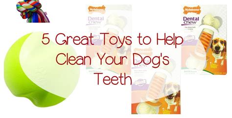 Best Dog Toys for Cleaning Teeth