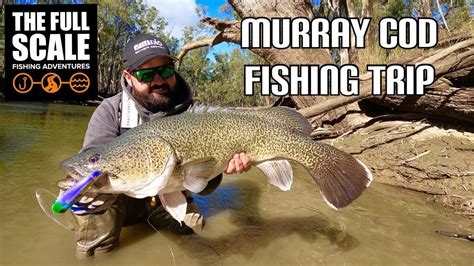 MURRAY COD Fishing Trip | The Full Scale - YouTube