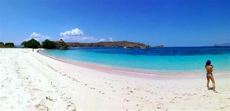 Komodo Island Pink Beach