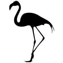 Flamingo Clipart Free Stock Photo - Public Domain Pictures