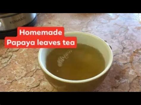 Papaya Leaf Tea Benefits - Proper Nutrition | NutritionOfPower.com