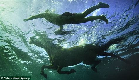 Stunning underwater photos show horses stretching their legs | Daily ...