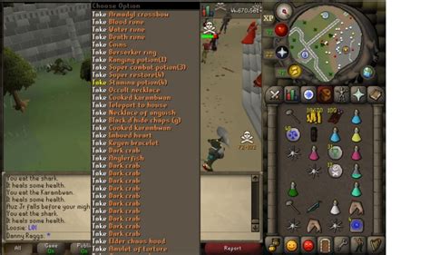 My osrs kill pic thread [BIG LOOTS]