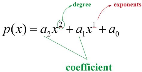 nth Degree Polynomial | General form | Concept & Solved Examples - Cuemath