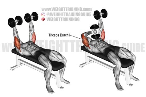 Lying Dumbbell Tricep Extension