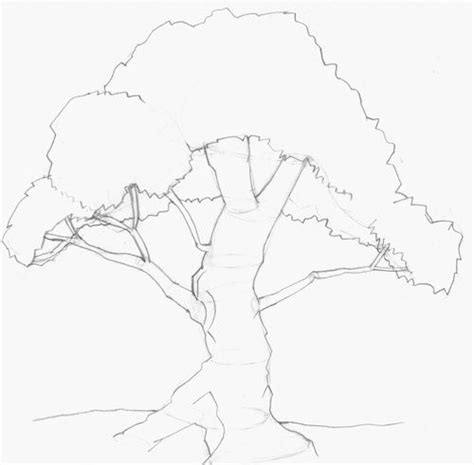 how to draw trees | Tree drawing, Drawings, Painting & drawing