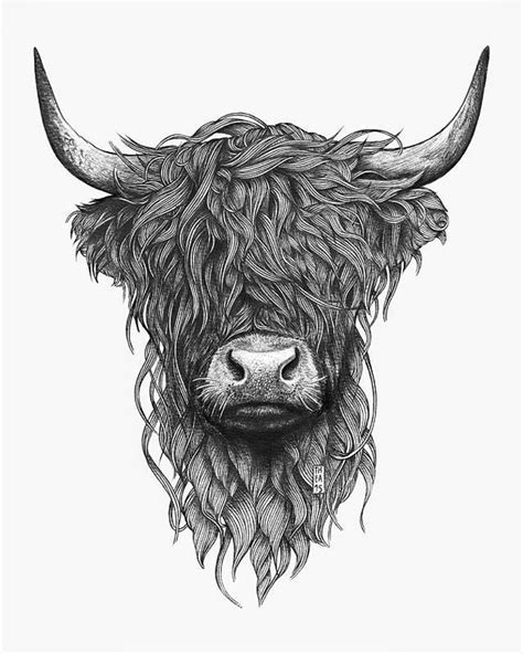 Pin by Anita Glause on ↟2↟ | Highland cow art, Cow art, Cow art print