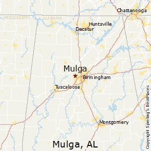 Best Places to Live in Mulga, Alabama