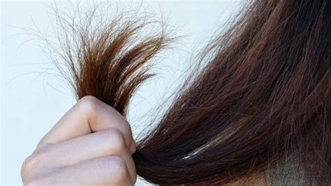 Brittle hair: Reasons and how to treat them