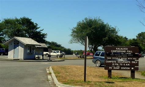 Kalaloch Campground, Olympic National Park - AllTrips