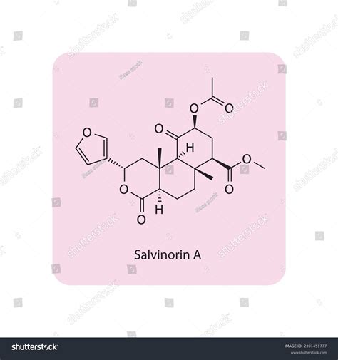 Salvinorin Molecular Structure Skeletal Formula Diagram Stock Vector ...