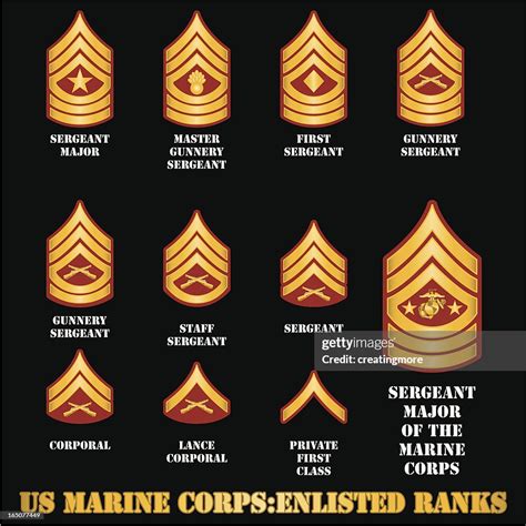 Marine Corps Ranks And Pay 2024 - Edin Doralynne