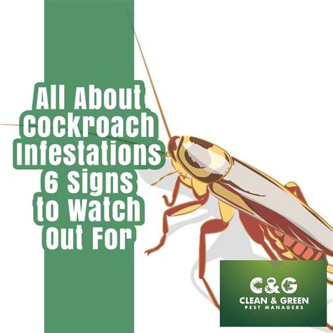 All About Cockroach Infestations 6 Signs to Watch Out For · Clean & Green Pest Control Northern ...