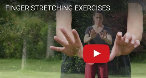 Introduction Qigong beginners - free videos & instructions