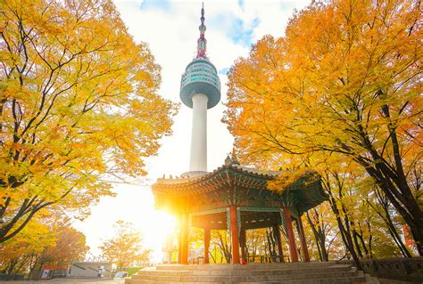 Seoul Travel: Top Attractions and Things to Do in Itaewon