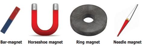 Magnet of different shapes - Term 3 Unit 1 | 6th Science