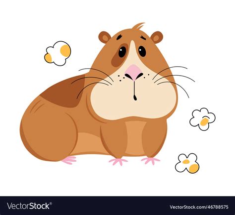 Cute guinea pig eating popcorn funny brown pet Vector Image