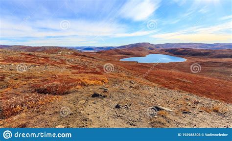 Autumn Greenlandic Orange Tundra Landscape with Lakes and Mountains in the Background ...