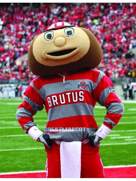 Ohio State University Brutus Buckeye Mascot Costume