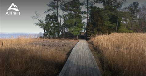 Best Trails in York River State Park - Virginia | AllTrails