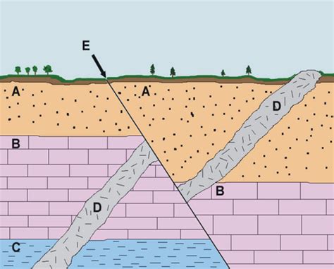 Rock Layers & Fossils Diagram | Quizlet