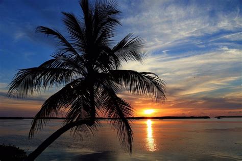 Pin by Hans Kristen on Places to visit Florida Keys | Sunset, Visit florida, Places to visit