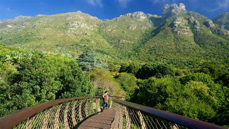 Kirstenbosch Gardens Bridge | Fasci Garden