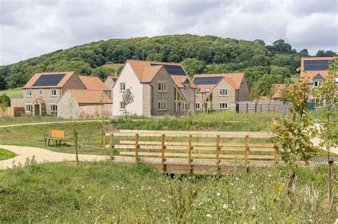 The Somerset eco-homes where weekly bills cost less than a pint ...